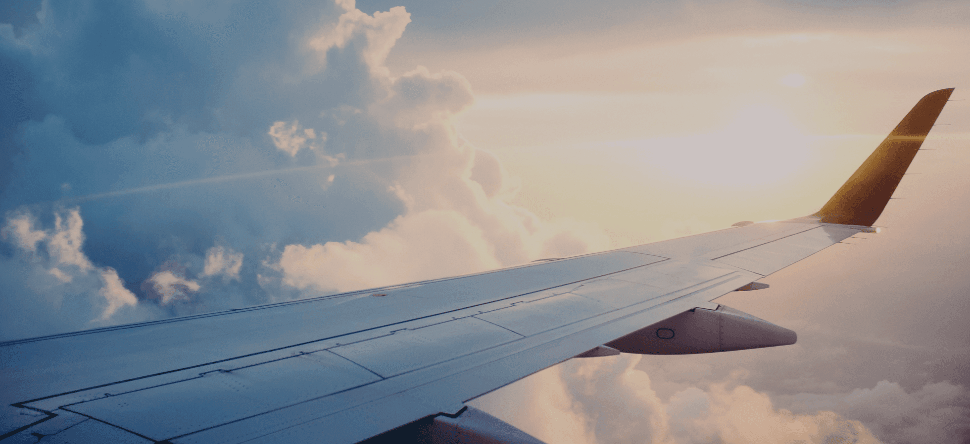 syncroPro Produkt SNP Baggage Tracer